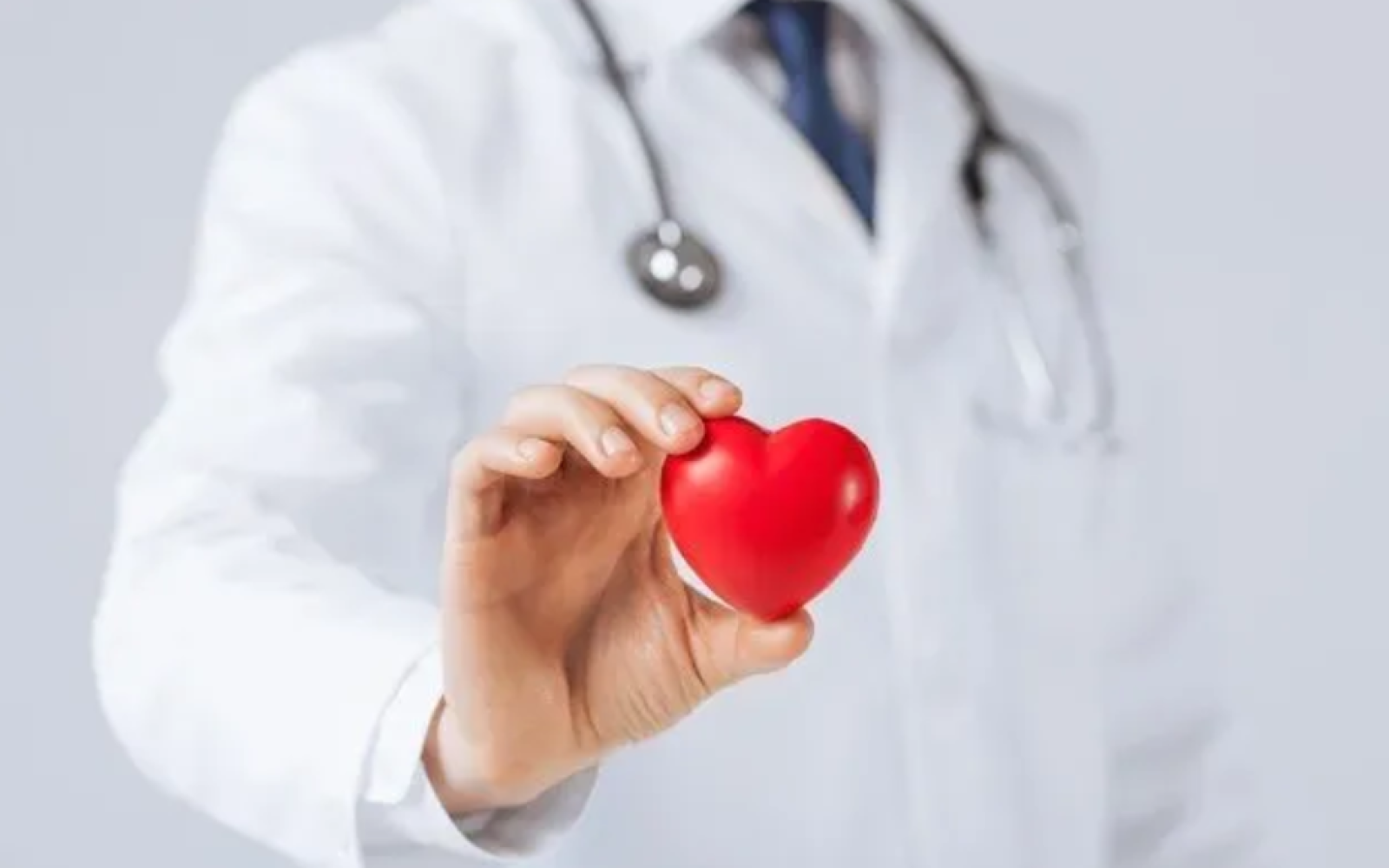 physician holding a toy heart