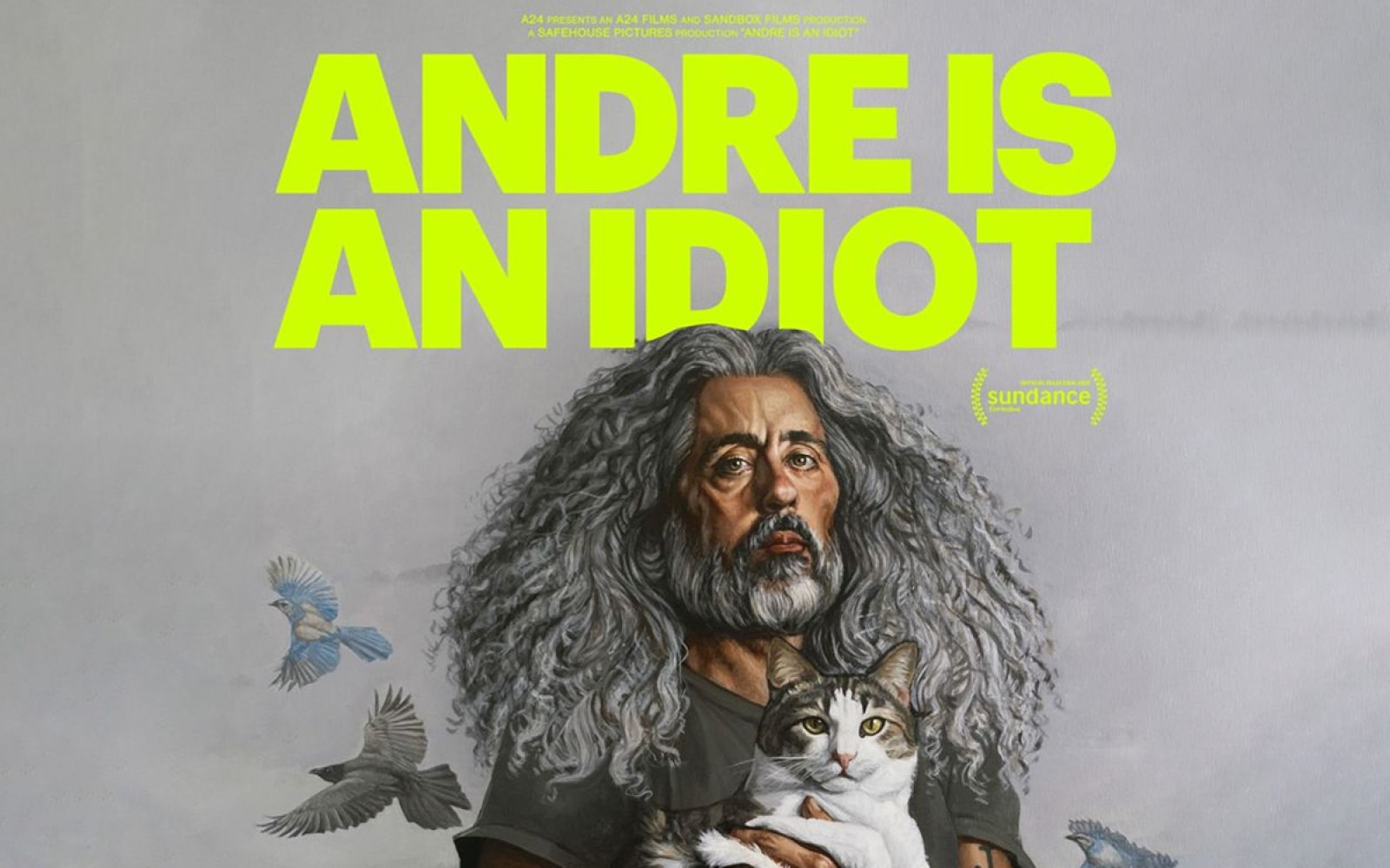 Andre is an Idiot poster wide