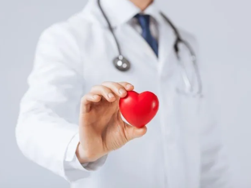 physician holding a toy heart