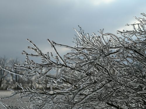 Ice Storm. Photo by <a href="https://unsplash.com/@klbennett2021?utm_source=unsplash&utm_medium=referral&utm_content=creditCopyText">Krista Bennett</a> on <a href="https://unsplash.com/photos/a-tree-covered-in-ice-on-a-cloudy-day-F4Mmpvk1RbE?utm_source=unsplash&utm_medium=referral&utm_content=creditCopyText">Unsplash</a>       