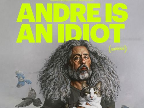 Andre is an Idiot movie poster