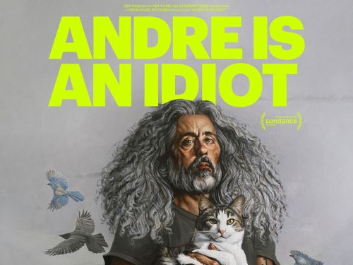 Andre is an Idiot poster wide